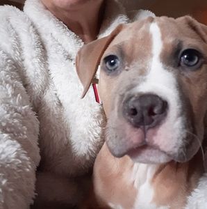 Meet your Posher, Stephanie annie